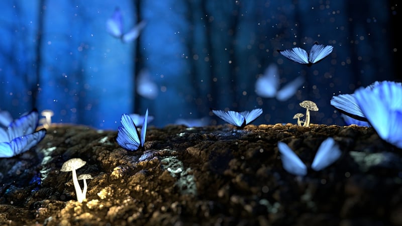 Enchanted Portraits